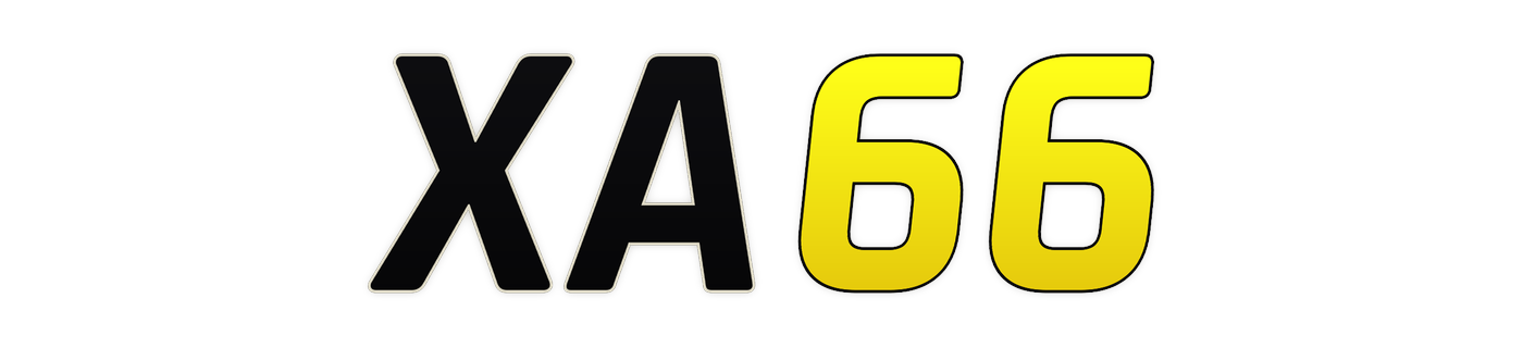 xa66